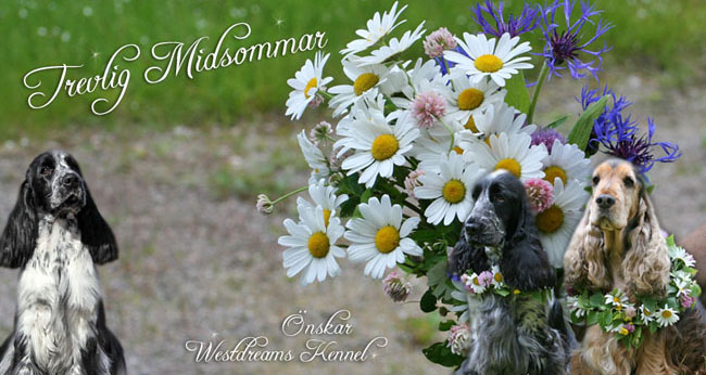 bloggmidsommar