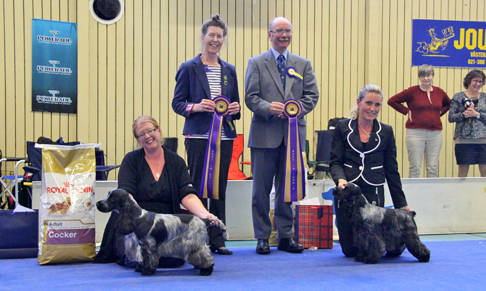 Lottie BEST IN SHOW!